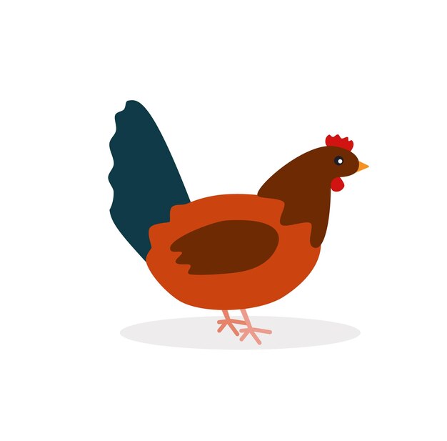 Lindo pollo en estilo plano aislado sobre fondo blanco Eps 10