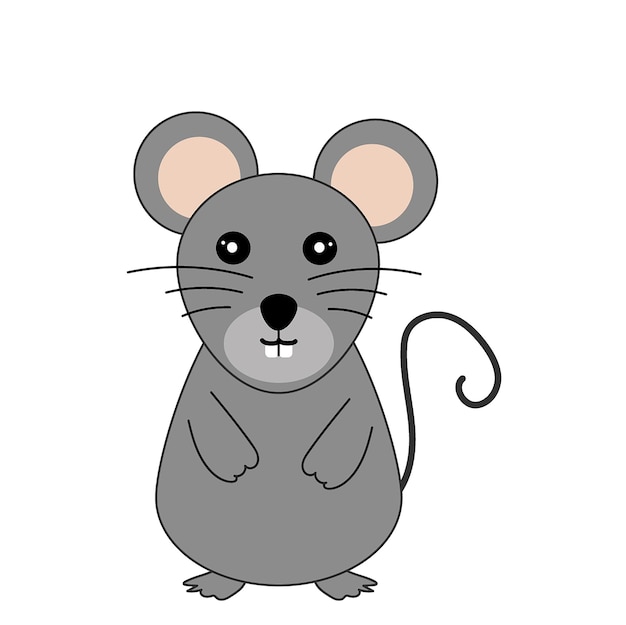 Lindo raton