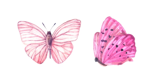 Vector lindo, rosa, mariposas clipart