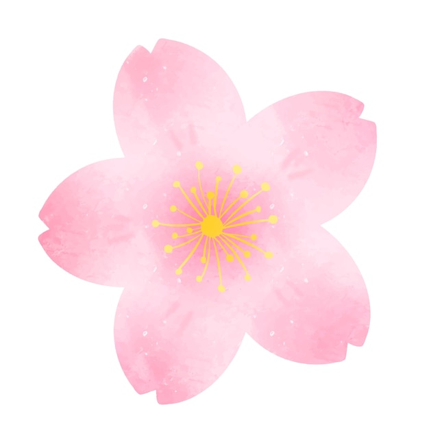 Lindo sakura flor de cerezo dibujo ilustración vectorial