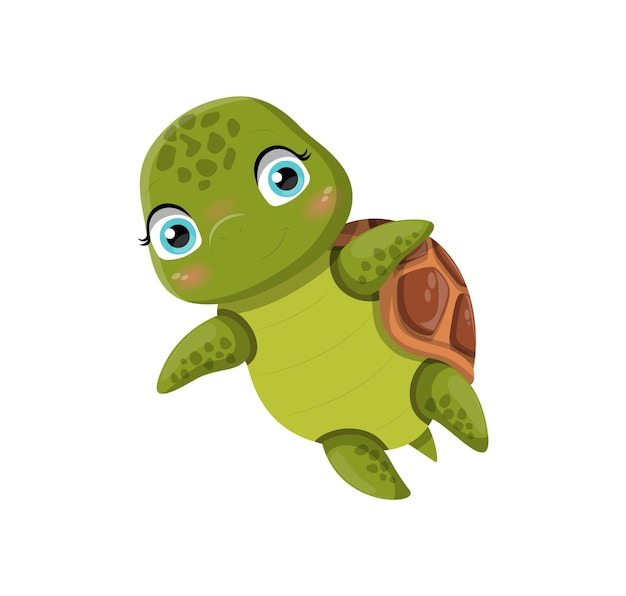 Lindo, tortuga, nadar
