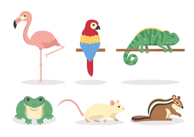 Lindo varios animales con flamenco rana iguana ardilla y rata con dibujo a mano en personajes de dibujos animados sobre fondo blanco Ilustración vectorial