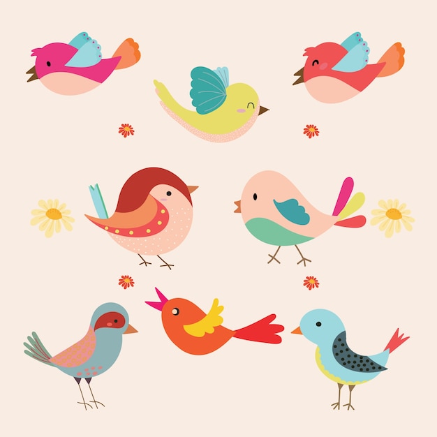 Lindo vector de aves conjunto