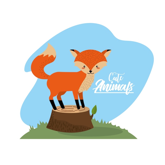 Lindo zorro animal a la vida silvestre natural