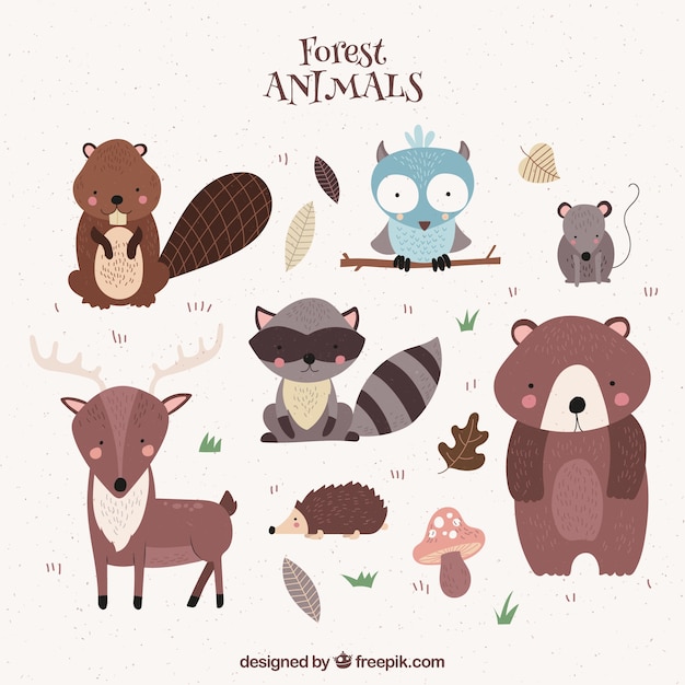 Lindos animales del bosque dibujados a mano