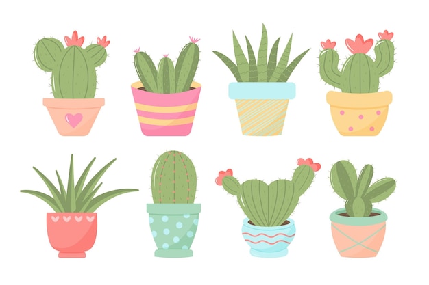 Lindos cactus en maceta Colores pastel de moda Plantas domésticas exóticas y tropicales