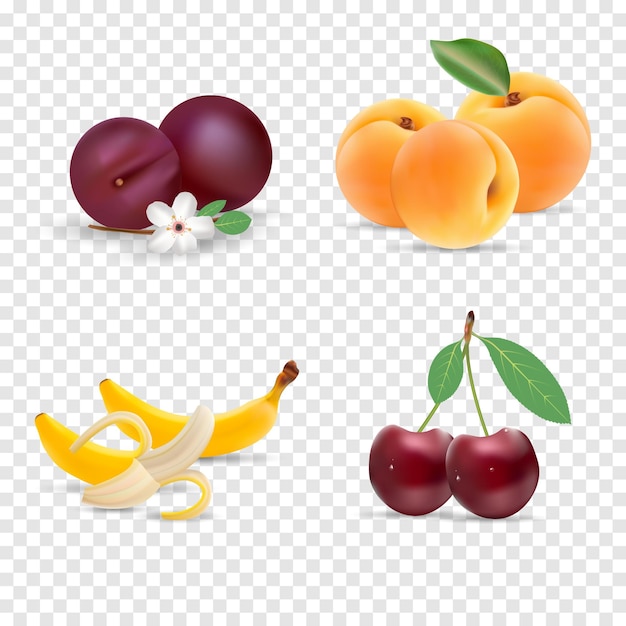 Vector lindos colores brillantes de colecciones de vectores de frutas conjunto de frutas cereza albaricoque plátano disponible en eps10