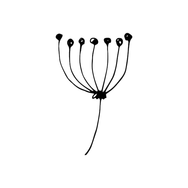 Lindos elementos florales dibujados a mano. Ilustración de vector de Doodle para diseño de boda, logotipo y tarjeta de felicitación.