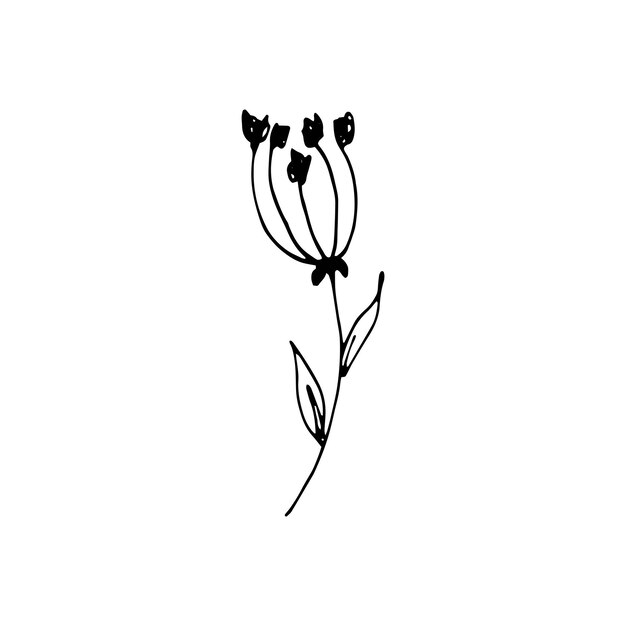 Lindos elementos florales dibujados a mano. Ilustración de vector de Doodle para diseño de boda, logotipo y tarjeta de felicitación.