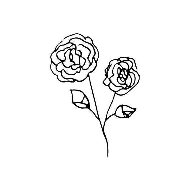 Lindos elementos florales dibujados a mano. ilustración de vector de doodle para diseño de boda, logotipo y tarjeta de felicitación.