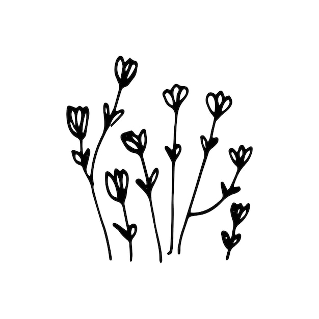 Lindos elementos florales dibujados a mano. Ilustración de vector de Doodle para diseño de boda, logotipo y tarjeta de felicitación.