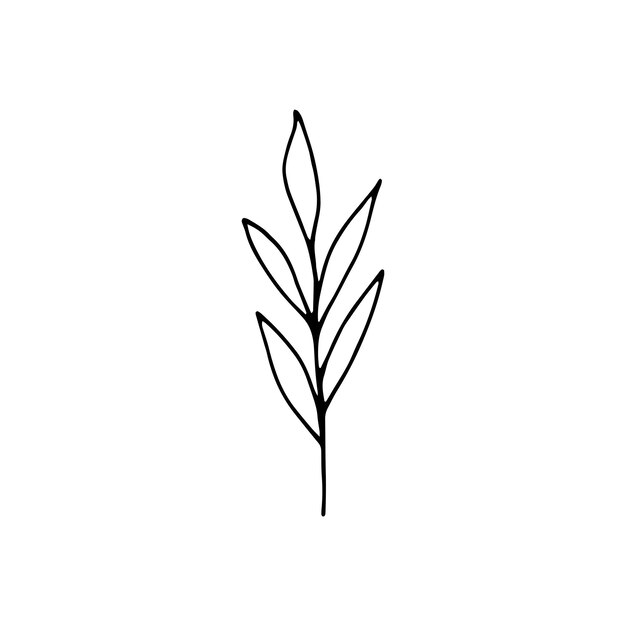 Lindos elementos florales dibujados a mano. Ilustración de vector de Doodle para diseño de boda, logotipo y tarjeta de felicitación.