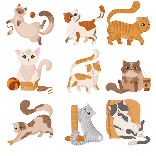 Lindos gatitos de diferentes colores en un estilo múltiple. Gatos divertidos de diferentes razas. Mascotas esponjosas