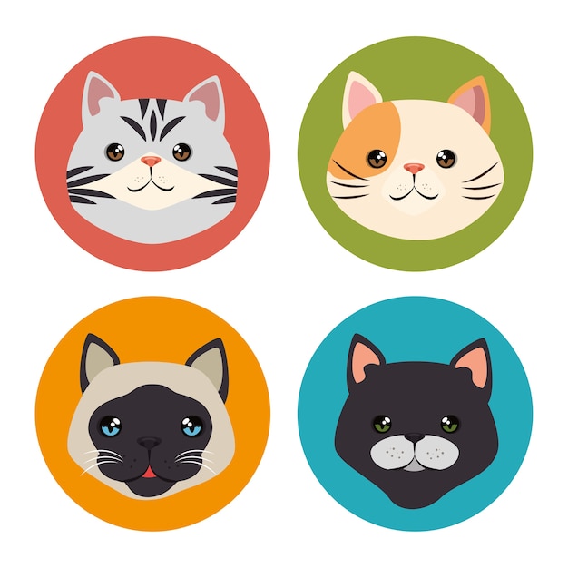 lindos gatos mascotas personajes