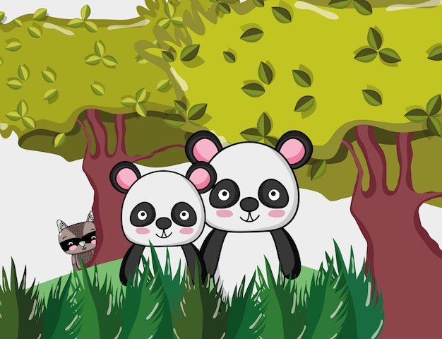 Lindos osos panda