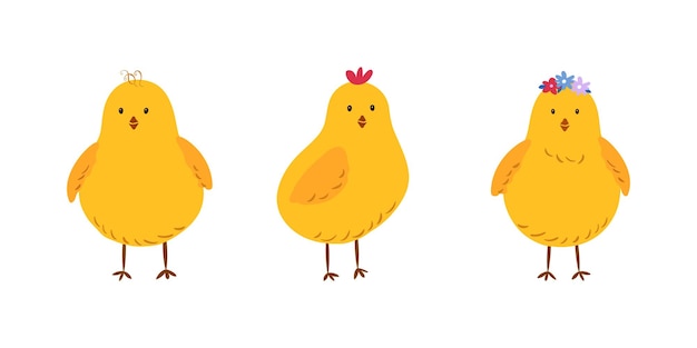 Lindos pollos amarillos de dibujos animados aislados en fondo blanco