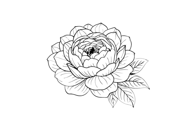 Line Art continua flor de peonía de cerca Marco bueno para el diseño en Black Linear Sketch