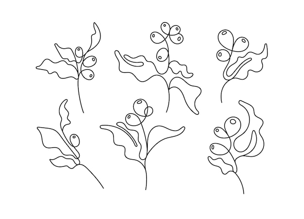Línea de arte conjunto rama de árbol de café frijol abstracto dibujado a mano logo flora tropical boceto colección