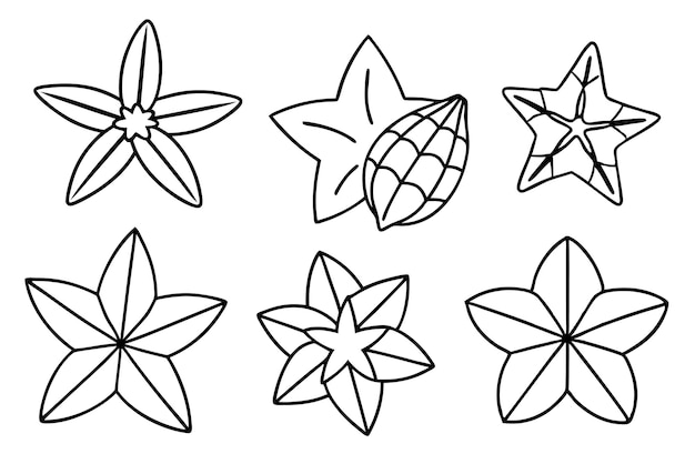La línea de arte de Starfruit es un diseño artístico moderno creativo.