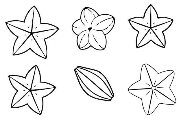 La línea de arte de Starfruit es una hermosa ilustración minimalista.