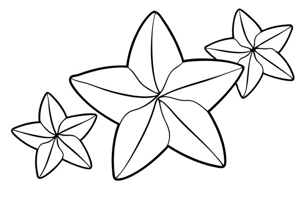 La línea de arte de Starfruit es una pieza de arte monocromática clásica.