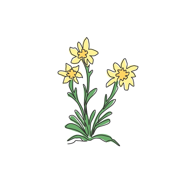 Una línea continua dibujando belleza y exótica flor de edelweiss para la decoración de la pared del hogar impresión de carteles de arte