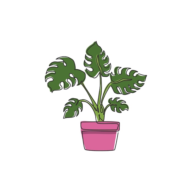 Vector una línea continua de dibujo belleza planta de monstera de hojas tropicales vector de diseño de dibujo de línea única