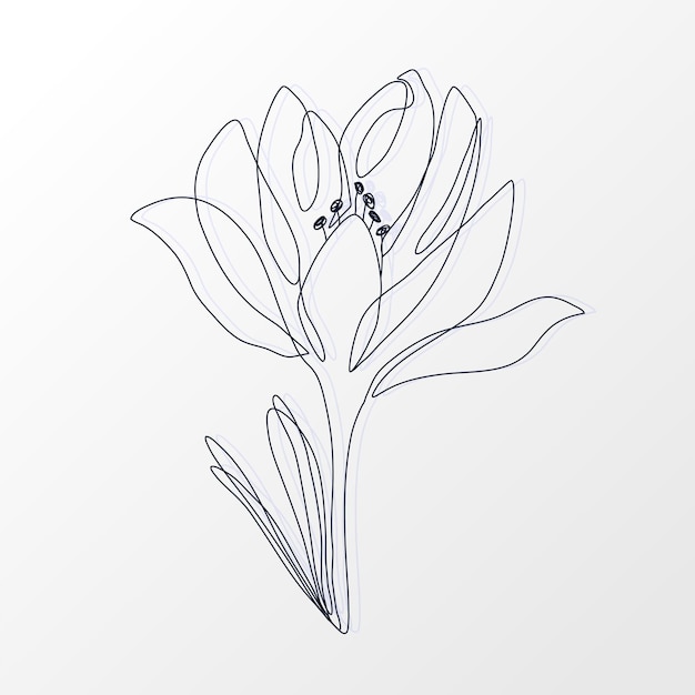 Una línea continua de una hermosa flor de crocus con hojas dibujadas a mano hierbas y plantas de primavera