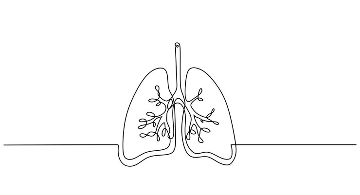Una línea continua de pulmones aislado sobre fondo blanco.
