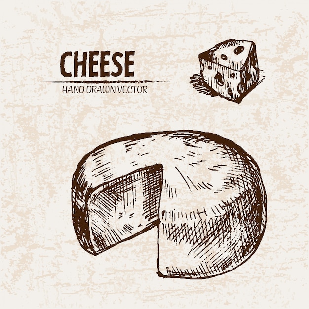 Línea detallada de queso en rodajas