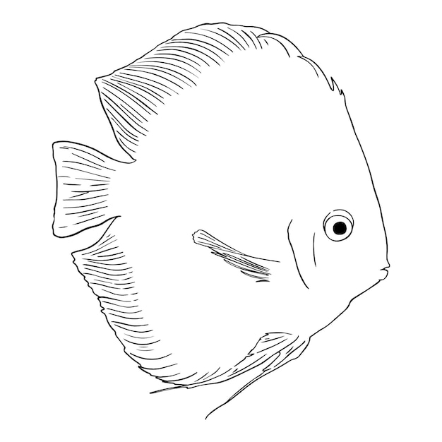 Línea de dibujos animados de doodle de animales marinos de disco de pescado plano