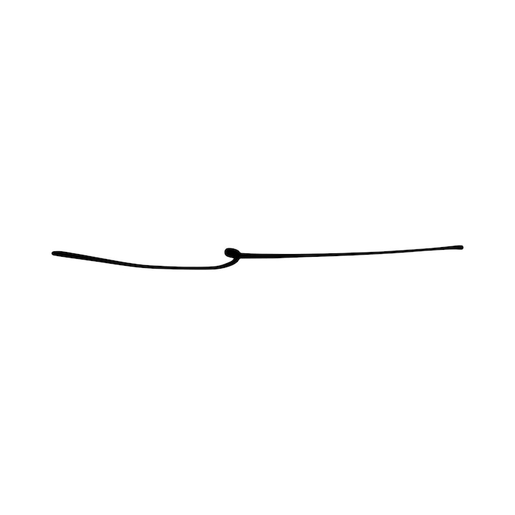 Vector línea divisora rizada dibujada a mano icono ilustración vectorial elemento de diseño de swish swash swoosh subrayado remolino arrugado línea de trazo