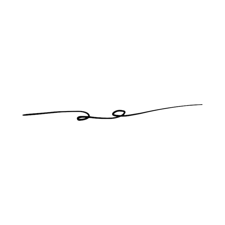 Vector línea divisora rizada dibujada a mano icono ilustración vectorial elemento de diseño de swish swash swoosh subrayado remolino arrugado línea de trazo