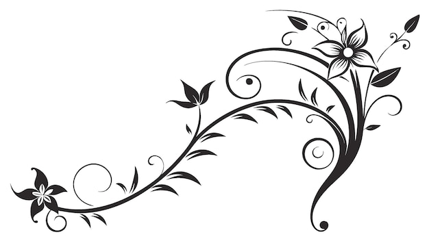 Línea divisoria decorativa simétrica Frontera ornamental Motivo floral Abstracto Floreciente Elementos filigranados