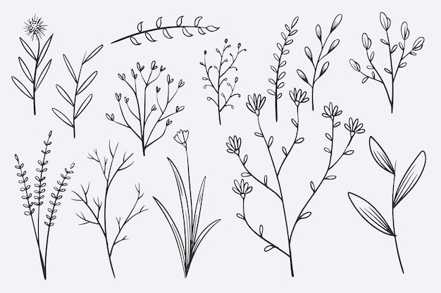 LÍNEA DE FLOR02