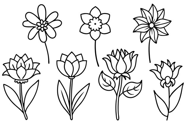 una línea de flores dibujadas sobre un fondo blanco