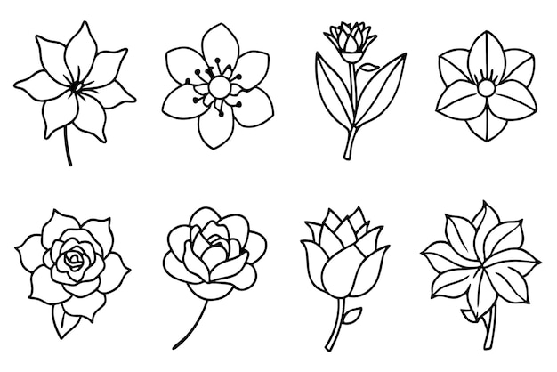 una línea de flores dibujadas sobre un fondo blanco