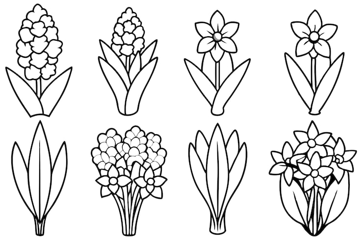 Vector una línea de flores dibujadas sobre un fondo blanco
