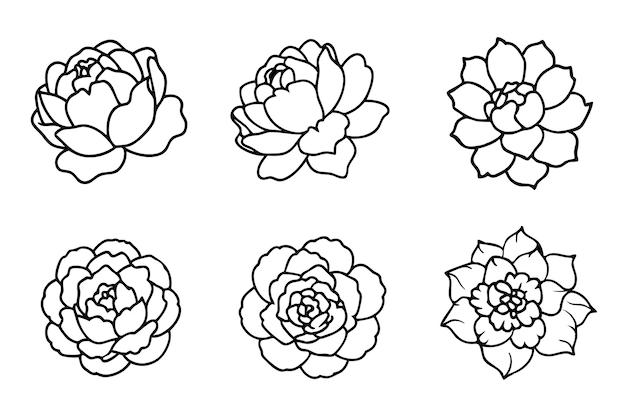 una línea de flores con una línea que dice flores