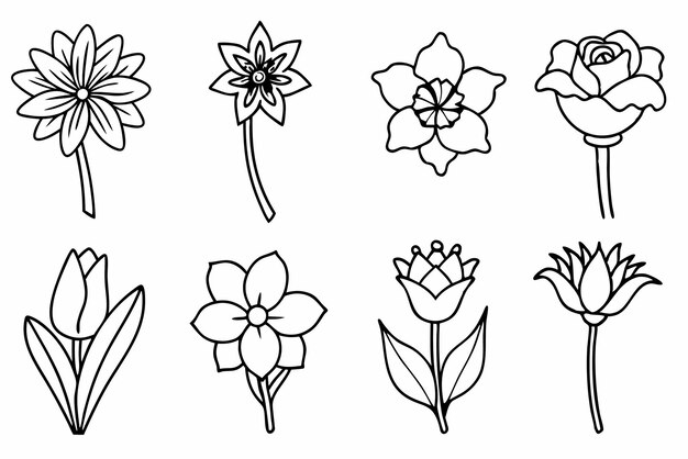 una línea de flores con las palabras "loto" en ella
