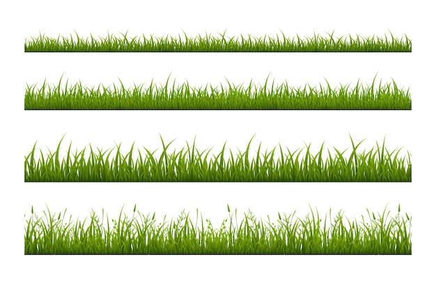 Vector línea de hierba verde fresca plana de patrones sin fisuras. ilustración de crecimiento de hierbas en fondo blanco. revestimiento de campo deportivo. prado de verano, césped. rayas botánicas decorativas aisladas