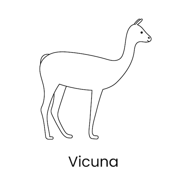 Línea de icono de vicuña en una ilustración vectorial de un animal