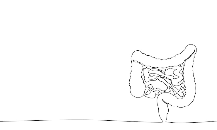 Vector una línea de intestinos continuos concepto de banner de salud de arte de línea vector de contorno dibujado a mano