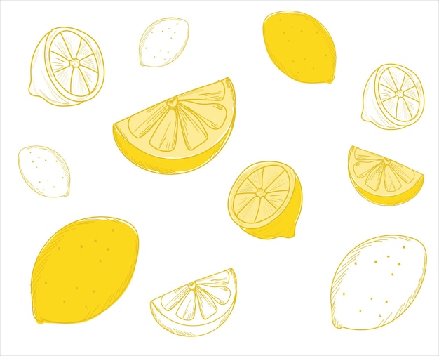 Línea negra limón dibujada sobre un fondo blanco. Dibujo de frutas vectorial. Manchas abstractas
