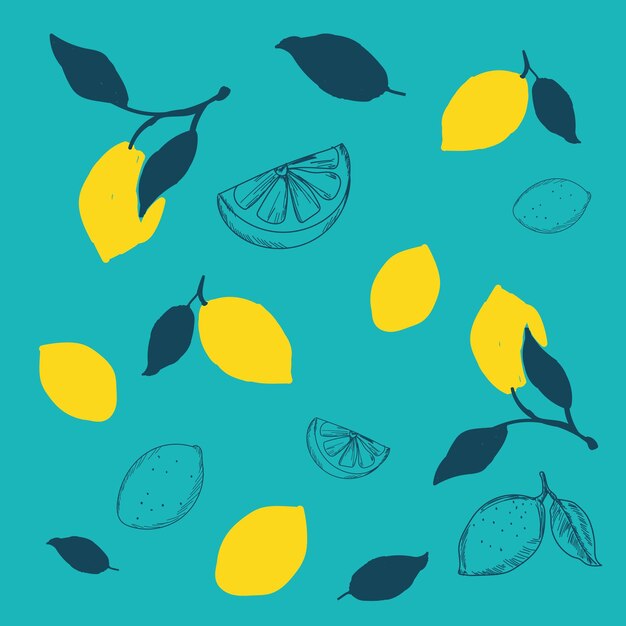 Línea negra limón dibujada sobre un fondo blanco. Dibujo de frutas vectorial. Manchas abstractas