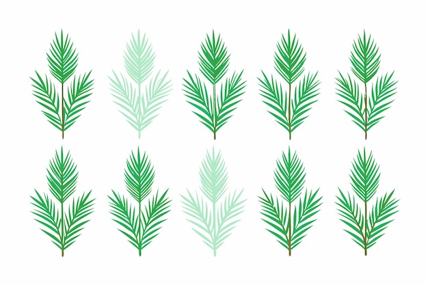una línea de palmeras con una hoja de palma verde sobre un fondo blanco