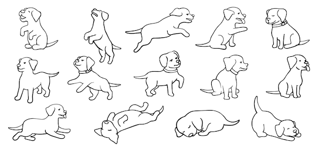 una línea de perros y perros