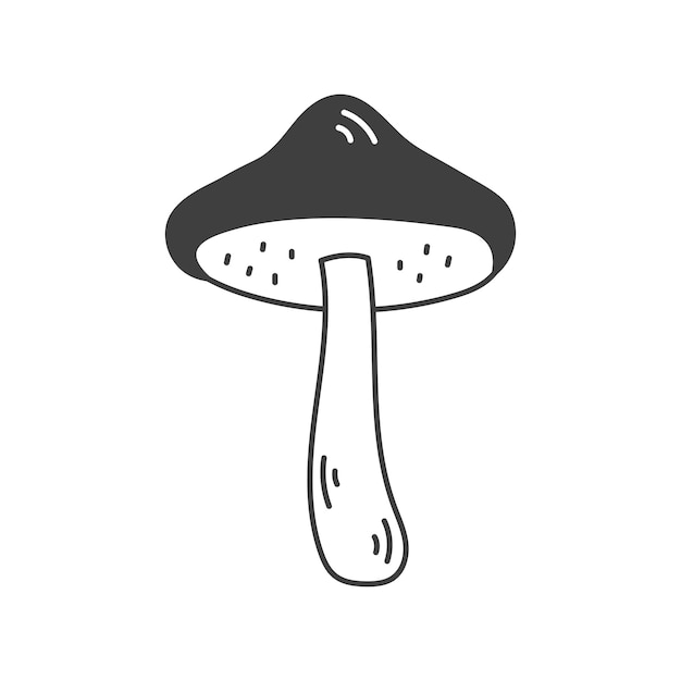 Línea de setas de Boletus amarillo Icono de dibujos dibujos de los ingredientes de los alimentos Ilustración vectorial