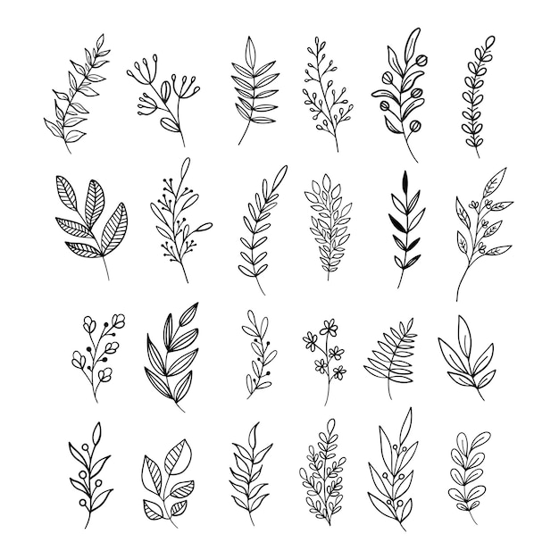Lineart de follaje