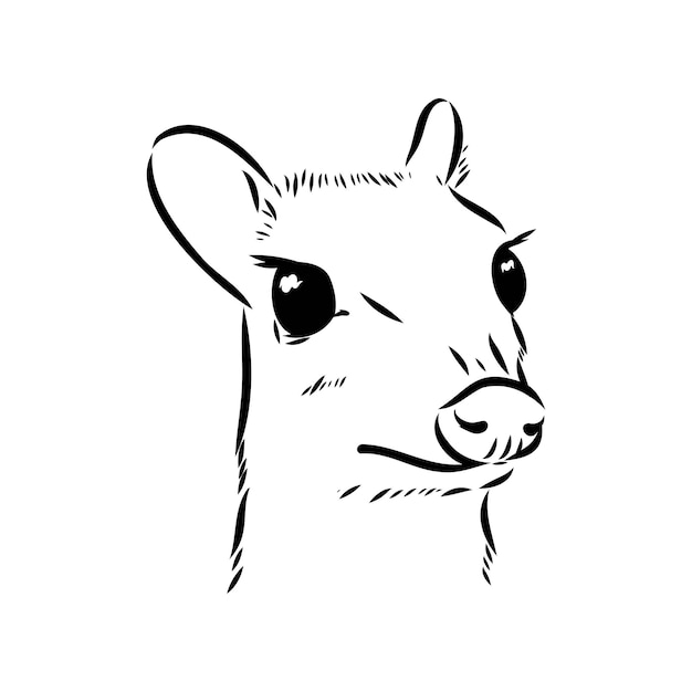 líneas continuas ratón ciervo logotipo símbolo icono vectorial ilustración diseño gráfico